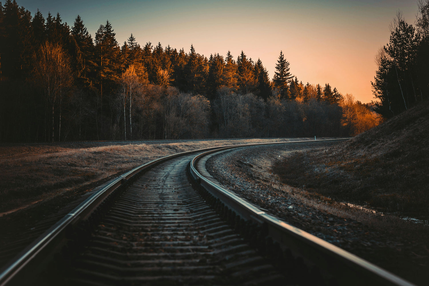 Curved train tracks leading into a forest at sunset